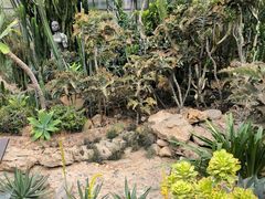 -深圳仙湖植物园