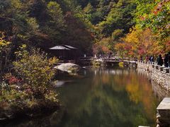 -丽梅羊汤土菜馆(河畔花园店)