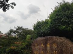 -中国茶叶博物馆(双峰馆区)
