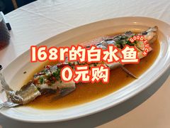 -凤凰湘语(浦东旗舰店)
