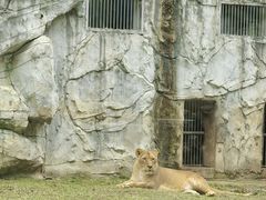 -黔灵山公园