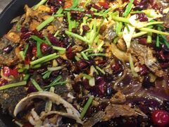 老板恋上鱼-老板恋上鱼(恒隆广场店)