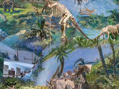 -自贡恐龙博物馆