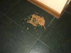 -如家酒店·neo(南京夫子庙店)