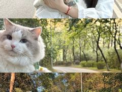 -火炉山森林公园