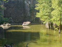 -广州市帽峰山景区