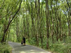 -同里国家湿地公园