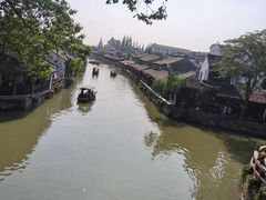 -枫泾丁氏烧卖(枫丽路店)