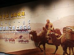 -包头博物馆
