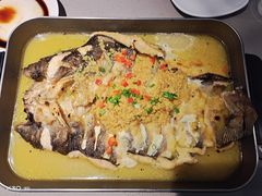 -知春路(地铁站)