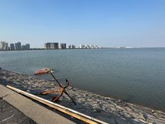 -碧海金沙