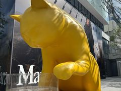 -深圳湾万象城(南山店)