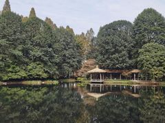 -九曜山