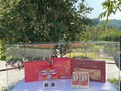 -云溪植物园