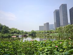 -西海子公园