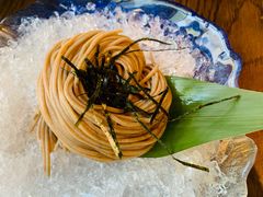 荞麦面-Hatsune隐泉日式料理(三里屯太古里店)