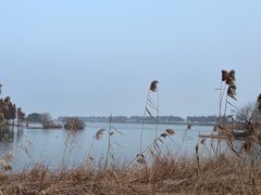 -贡湖湾湿地公园