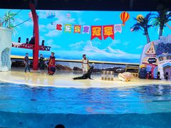 -三亚海昌梦幻海洋不夜城