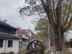 -练塘古镇