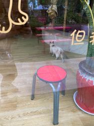 -萌宠亲子动物乐园(槐房万达店)