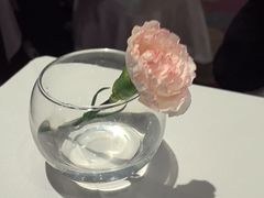 -眉州东坡(石景山店)
