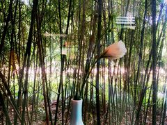 -荷风细雨·中国茶宴(碧云店)