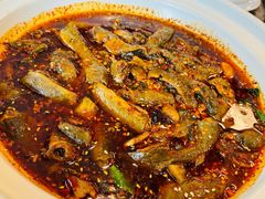 -情妹耙泥鳅·江湖川菜(科华店)