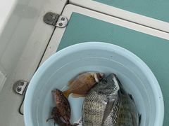 -鑫艋游艇海钓俱乐部