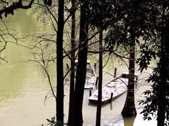-深圳仙湖植物园