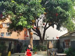 -周大娘牛乳(旧寨古村总店)