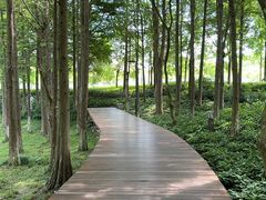 -西溪国家湿地公园