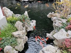 -鲤院·新中式美学·庭院餐厅(夫子庙店)