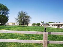 -北京群众马术培训基地