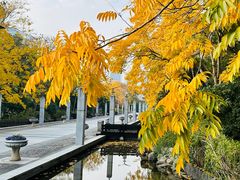 -上海科技馆(地铁站)