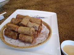 -欢乐海岸美食联盟