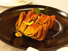 -全聚德(上海首店浦东店)