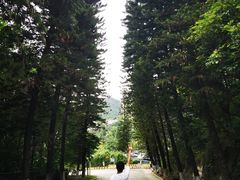 -大雁山风景区