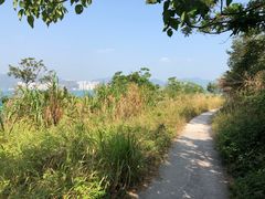 -南丫岛