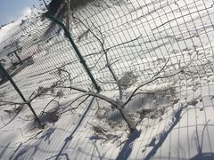 -九城宫草原漫瀚文化旅游区
