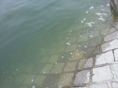 android_upload_pic-杭州千岛湖滨江希尔顿度假酒店