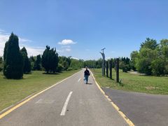 -盐城丹顶鹤湿地生态旅游区