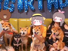 -百好乐宠物友好餐厅(朝外大街店)