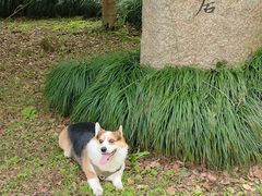 -黄公望隐居地