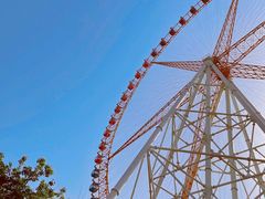 -石家庄市动物园