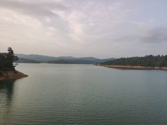 -广州市流溪河国家森林公园