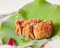 -淮扬府(安定门店)