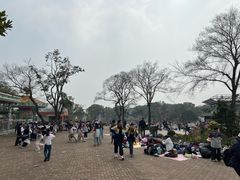 -无锡梅园公园
