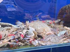 -船梆煮•蒸汽海鲜·生腌干蒸(五四广场店)