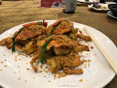 -欢乐海岸美食联盟