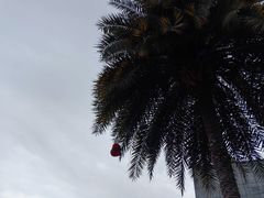 -宁波杉井奥特莱斯广场